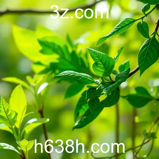 A Evolução do H638 nos Jogos Online em 2025