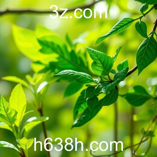 A Evolução do H638 nos Jogos Online em 2025